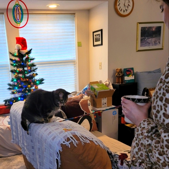 Meet your Posher, Carina - Picture 3 of 3